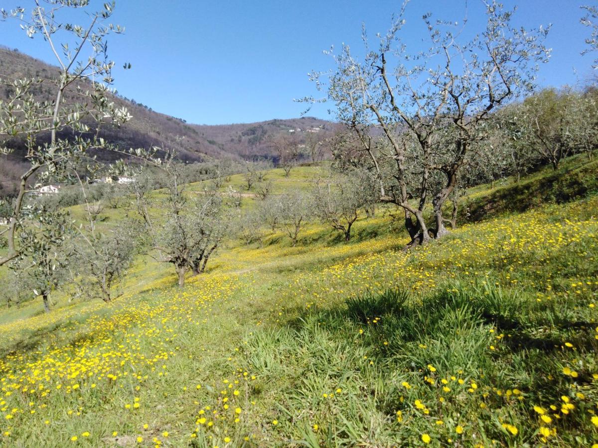 Agriturismo Terrarossa Pistoia Extérieur photo