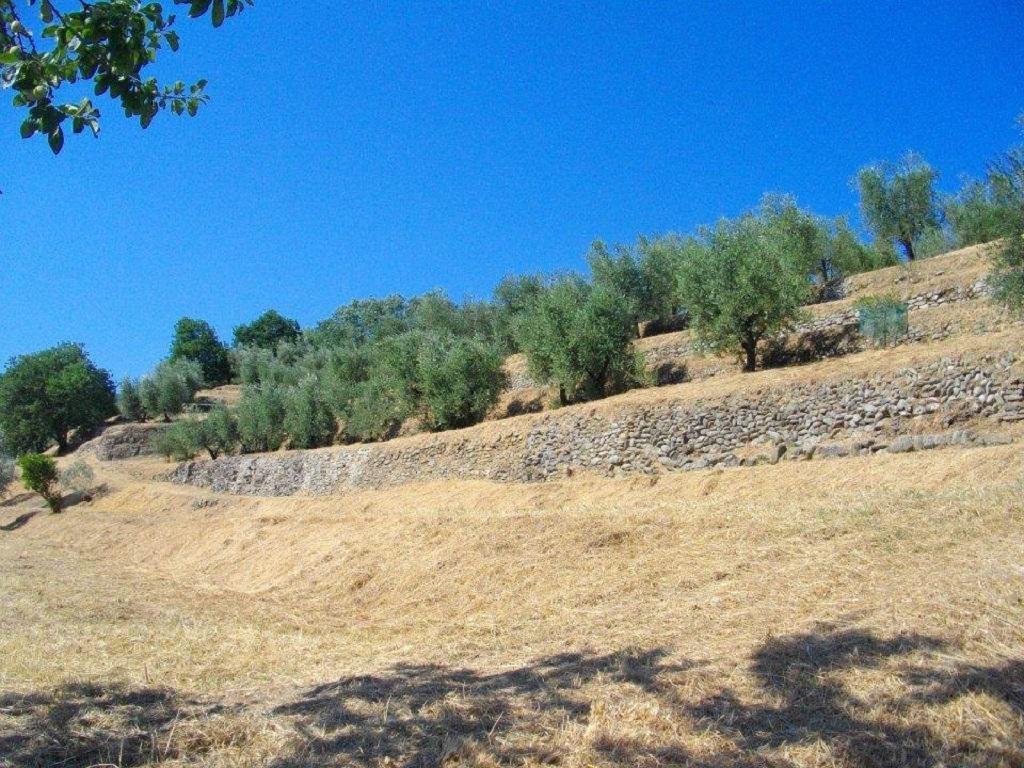 Agriturismo Terrarossa Pistoia Extérieur photo