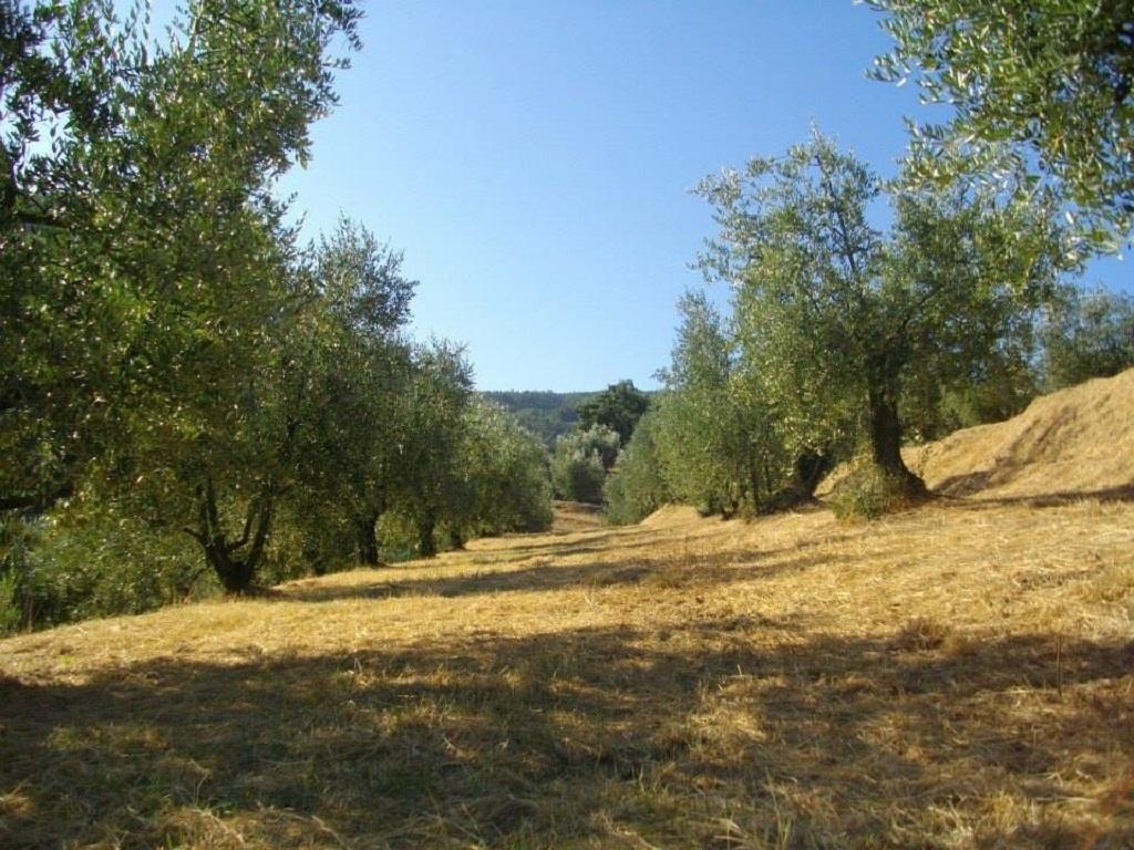 Agriturismo Terrarossa Pistoia Extérieur photo