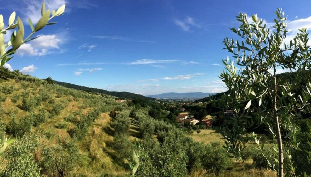 Agriturismo Terrarossa Pistoia Extérieur photo